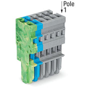 WAGO - Ein- und mehrpolige Klemmenleiste 1-Leiter-Federleiste 769-106/000-039 4mm²,gr/bl/gn-ge − 25 Stück