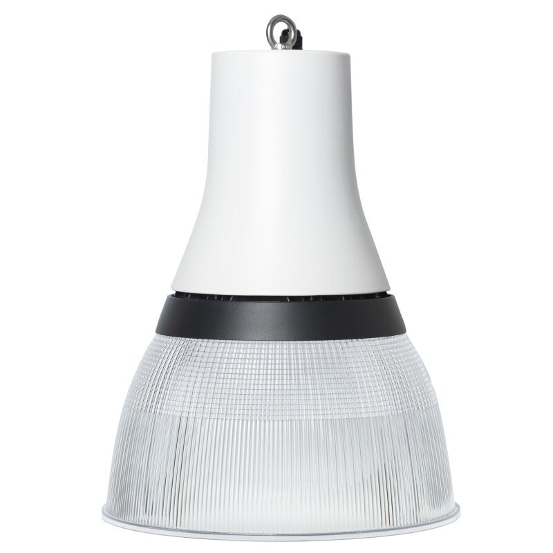 Dotlux - Pendelleuchte LED-Pendelleuchte 6248-099090 MC, DALI