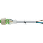 Murrelektronik - Modularer Steckverbinder 7000-12261-2330500 m.frei. Leitungsende − 1 Stück
