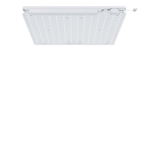Zumtobel Group - Decken - /Wandleuchte Nachrüst - Set LE CLEAN #42189970 840