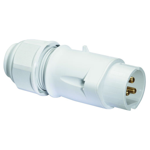 Bals Elektrotech - CEE-Stecker (IEC 60309) Kleinspannungs-Stecker 4429 16A 3p 42V 12h IP44