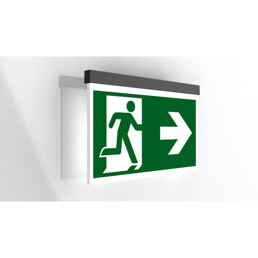 RP-Technik - Sicherheitsleuchte LED-Rettungszeichenleuchte AGW009-AZ ZB + ML, anthrazit