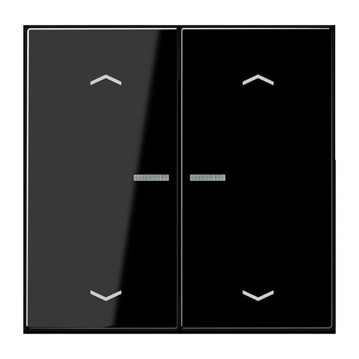 Jung - Bedienelement intelligent Taster 2fach BT LS 17102 P SW JUNG HOME