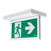 Ceag Notlichtsysteme - Sicherheitsleuchte Rettungszeichenleuchte FT2ED4IATL18 20m AT L, 1-8H
