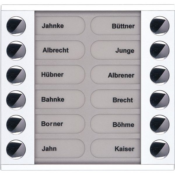 TCS Tür Control - Montageelement für Türstation Audioaußenstation 2-reihig PET12-WS/04 Erw.12 Tasten AP ws