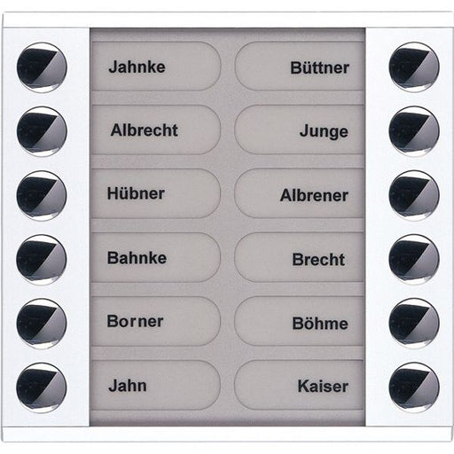 TCS Tür Control - Montageelement für Türstation Audioaußenstation 2-reihig PET12-WS/04 Erw.12 Tasten AP ws