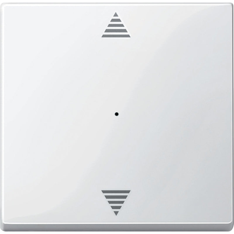 Schneider Electric - Bussystem-Tastwippe Wippe Tastermodul 1fach MTN619419 Aufdruck Auf/Ab