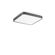 RZB - Decken-/Wandleuchte LED-Wand-u. Deckenleuchte 312654.0031.76 830, DALI, anthr