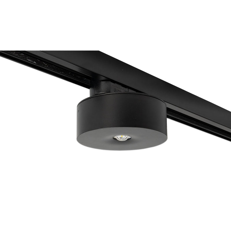 RP-Technik - Sicherheitsleuchte ILDL423WL-SW-3P EB 3h, sw