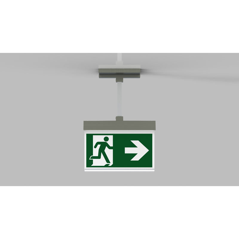 RP-Technik - Sicherheitsleuchte LED-Rettungszeichenleuchte AIEP009ML-E ZB + ML