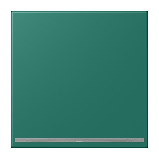 Jung - Orientierungsleuchte LED-Orientierungslicht LC 1539-OO LNW 216 vert anglais (32040)