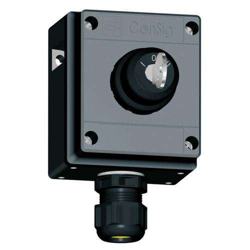 Stahl - Befehls- und Meldegeräte-Kombination im Gehäuse Befehlsgerätesystem 8040/1180X-08M03SA04 Schlüsselsch. S/S − 1 Stück 
