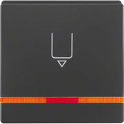 Berker - Taster Hotelcard-Schaltaufsatz 16406086 anth/sa, or Linse