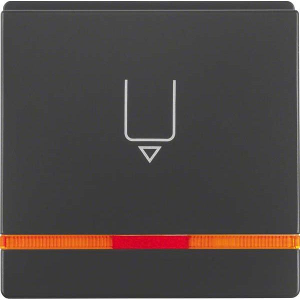 Berker - Taster Hotelcard-Schaltaufsatz 16406086 anth/sa, or Linse