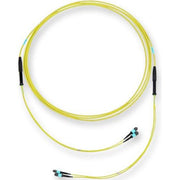 Corning - Patchkabel LWL LWL-Trunkkabel Edge XB G909024GLZ88U030M 24F MTP/f-MTP/f