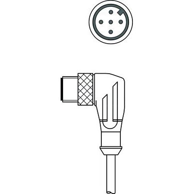 Leuze - Rundsteckverbinder, feldkonfektionierbar (Industriesteckverbinder) Leitungsdose D S-M12-5W-M