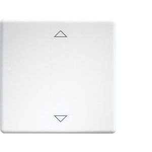 Eltako - Abdeckung/Bedienelement für Installationsschalterprogramme Wippe lasergraviert W-FT55-wg+2P f.55x55mm rws