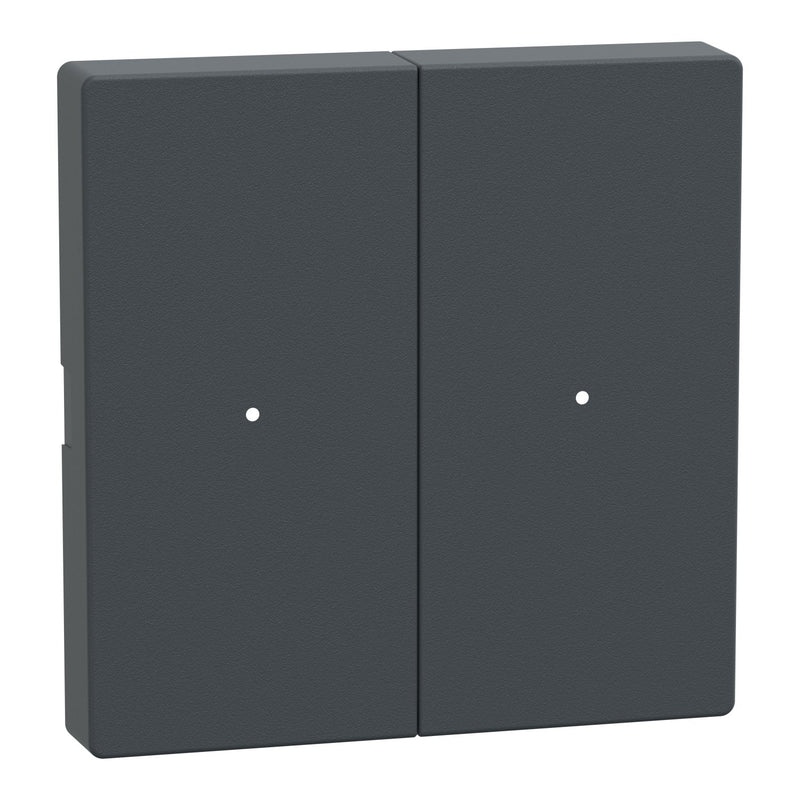 Schneider Electric - Bussystem-Tastwippe Wippe Tastermodul 2fach MTN625214 Anthrazit