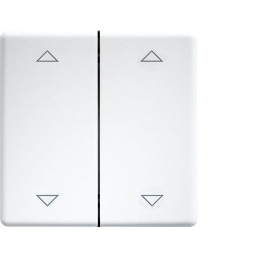 Eltako - Abdeckung/Bedienelement für Installationsschalterprogramme Doppelwippe lasergraviert DW-FT55-wg+2P f.55x55mm rws/glänz