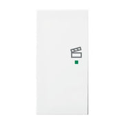 Busch-Jaeger - Bussystem-Tastwippe Wippe aws 6233-21-914 Busch-balance SI