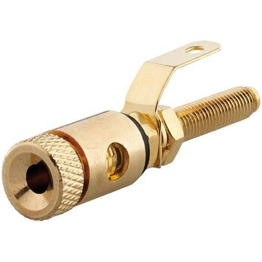 Rutenbeck - Kommunikationstechnik-Adapter Mini-Klinken-Buchse KM-LS sw − 1 Stück by Rutenbeck
