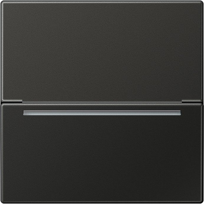 Jung - Abdeckung/Bedienelement für Installationsschalterprogramme Hotelcard-Schalter AL CARD RFID AN RFID