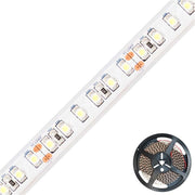 EVN Lichttechnik - Lichtschlauch/-band LED-Stripe Rolle Daylight LSTR SB 67 24 603501 5m 24V 600 LED
