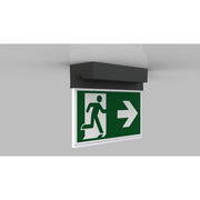 RP-Technik - Sicherheitsleuchte LED-Rettungszeichenleuchte AMD401SC-AZ EB 1h, SC, anthr