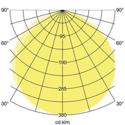 Brumberg Leuchten - Decken-/Wandleuchte LED-Fluter 60813184 50W, 4000K, sw