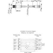 Telegärtner - Konfektionierte Leitung für steckbare Gebäudeinstallation STX M12x1-RJ45 VL X-kod. 100017246 Cat.6A SFTP-A0500