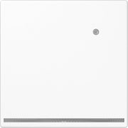 Jung - Orientierungsleuchte LED-Orientierungslicht LS 1539-O WW LNW weiße LEDs bruchs