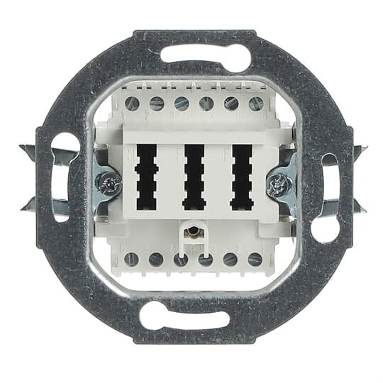 Busch-Jaeger - Einsatz/Abdeckung für Kommunikationstechnik TAE-Anschlussdose aws 0242/04 2x6/6 NFF