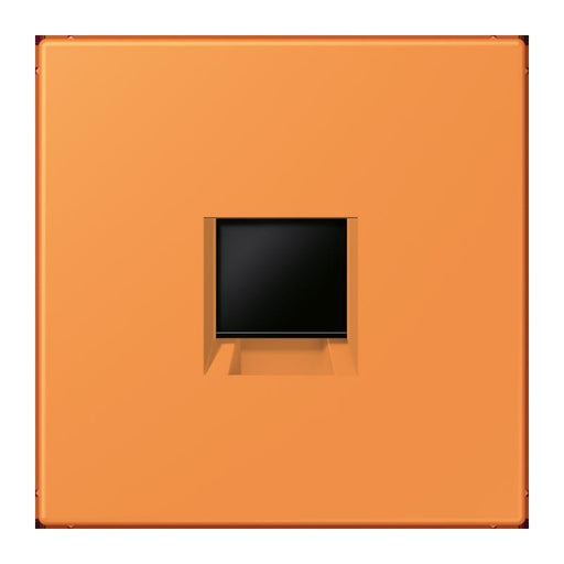 Jung - Einsatz/Abdeckung für Kommunikationstechnik Abdeckung (gerastet) LC 1969-1 WE 225 orange clair (32081)