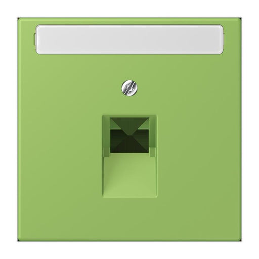 Jung - Einsatz/Abdeckung für Kommunikationstechnik Abdeckung für IAE/UAE LC 969-1 NAUA 220 vert 31 (32051)