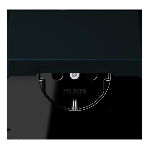 Jung - Steckdose SCHUKO Steckdose LC 1520 BFKIKL 248 noir divoire (4320E)