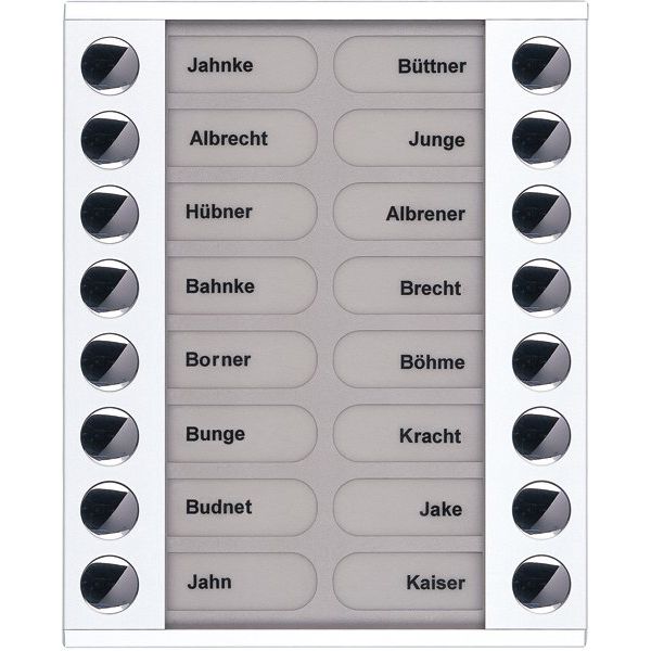 TCS Tür Control - Montageelement für Türstation Audioaußenstation 2-reihig PET16-WS/04 Erw.16 Tasten AP ws