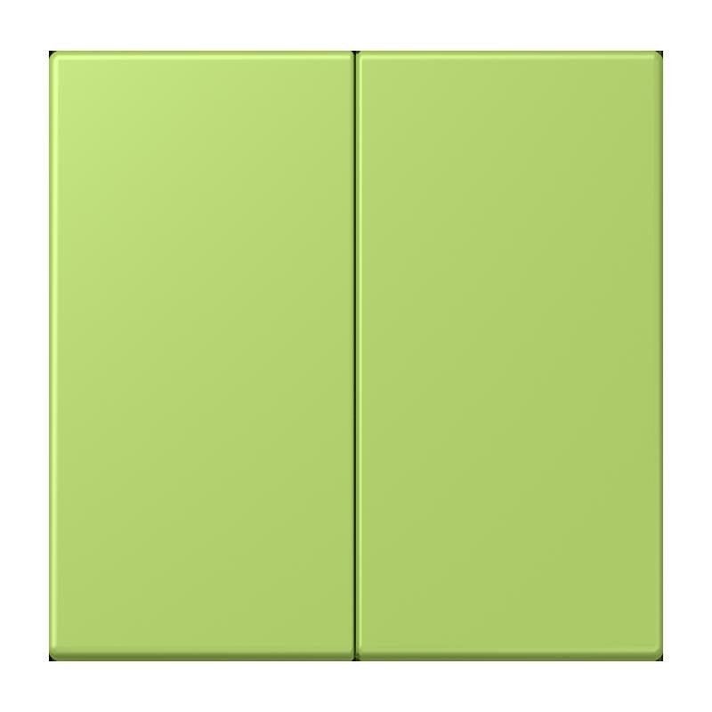 Jung - Abdeckung/Bedienelement für Installationsschalterprogramme Wippe für Taster 2fach LC 102 221 vert clair