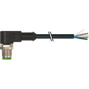 Murrelektronik - Passiver Sensor-/Aktor-Verteiler (mit Leitung) M8 mit Ltg. 7000-12121-6550150 − 1 Stück