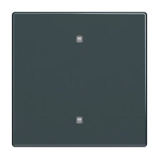 Busch-Jaeger - Abdeckung/Bedienelement für Installationsschalterprogramme Wippe 2570-10-81 Elektroniktaster
