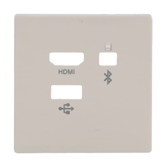 Busch-Jaeger - Einsatz/Abdeckung für Kommunikationstechnik Zentralscheibe 8256-82 Media Connector
