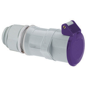 Bals Elektrotech - CEE-Kupplung (IEC 60309) Kleinspannungs-Kupplung 4522 16A 2p 24V
