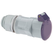 Bals Elektrotech - CEE-Kupplung (IEC 60309) Kleinspannungs-Kupplung 4533 32A 2p 24V