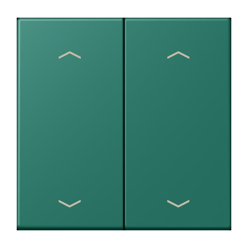 Jung - Abdeckung/Bedienelement für Installationsschalterprogramme Wippe mit Pfeilsymbolen LC 102 P 216 vert anglais
