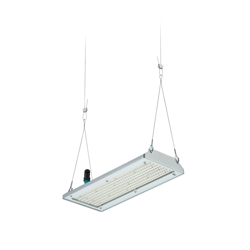 Philips Lighting - Hallen-Reflektorleuchte LED-Hallenleuchte BY580P 170 #58914800 4000K, DIA