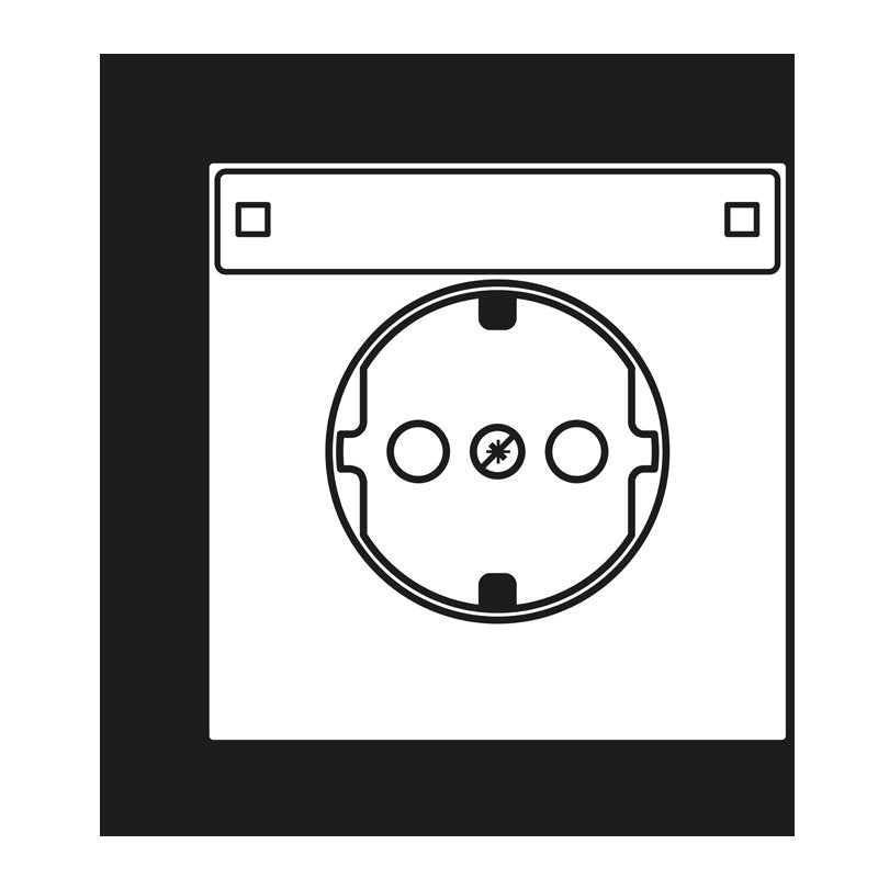 Jung - Abdeckung/Bedienelement für Installationsschalterprogramme Zentralplatte ES 1520 KINAPL f. SCHUKO-Steckdose