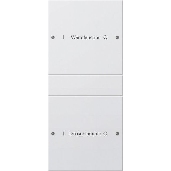 Gira - Bussystem-Tastwippe Wippenset 2-fach 220203 beschr. Sys 55 rws