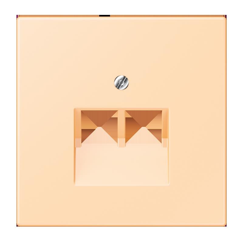 Jung - Einsatz/Abdeckung für Kommunikationstechnik Abdeckung für IAE/UAE LC 969-2 UA 223 ocre