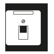 Jung - Einsatz/Abdeckung für Kommunikationstechnik Abdeckung Schriftfeld pla CD 569-1 NAUA PT für IAE/UAE-Dose