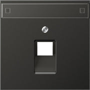Jung - Einsatz/Abdeckung für Kommunikationstechnik Abdeckung Schriftfeld ant AL 2969-1 NAUA AN für IAE/UAE-Dose