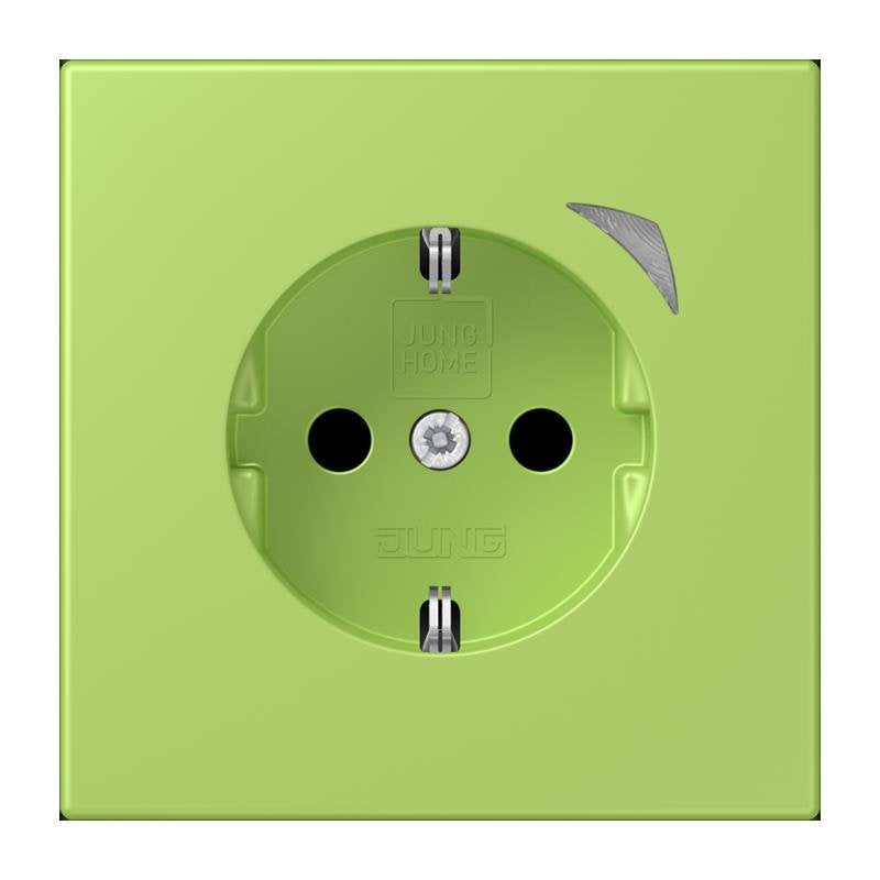 Jung - Steckdose SCHUKO Steckdose BT LC 1521 S 221 vert clair (32052)